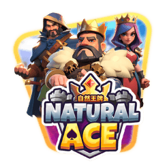 Natural Ace icon